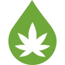 Hispacbd Coupon Codes